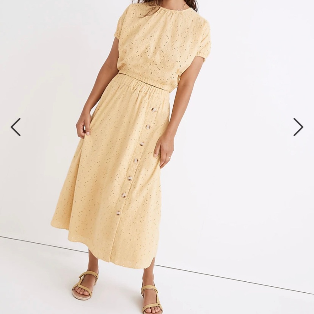 Madewell skirt